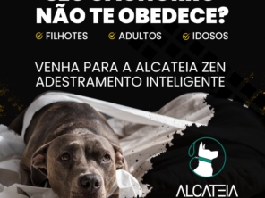Foto de Alcateia Zen - Adestramento Canino e Hotel Pet em Botucatu, SP por Solutudo