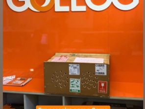 Foto de Gollog - Logística em Sinop, MT por Solutudo