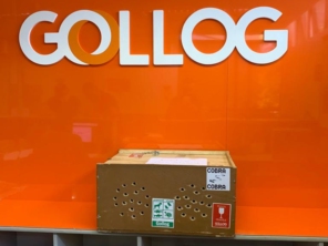 Foto de Gollog - Logística em Sinop, MT por Solutudo