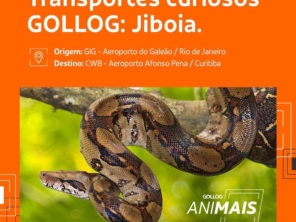 Foto de Gollog - Logística em Sinop, MT por Solutudo