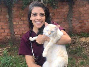 Foto de Lar Doce Vet - Veterinária Domiciliar em Bauru, SP por Solutudo