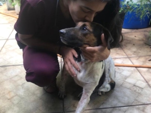 Foto de Lar Doce Vet - Veterinária Domiciliar em Bauru, SP por Solutudo