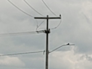 Foto de Agostinho Engenharia e Sistemas Elétricos em Vilhena, RO por Solutudo