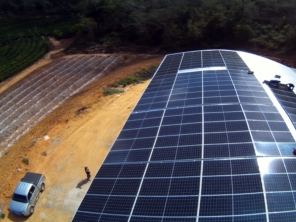 Foto galeria da empresa