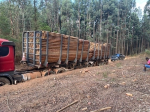 Foto galeria da empresa