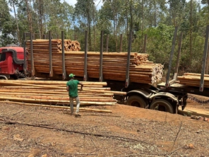 Foto galeria da empresa