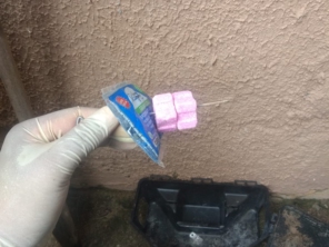 Foto de Marc's Controle de Pragas - Dedetização em São Gonçalo, RJ por Solutudo