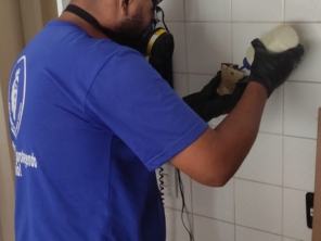 Foto de Marc's Controle de Pragas - Dedetização em São Gonçalo, RJ por Solutudo