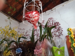 Foto de Jard.Flor Jardinagem em Botucatu, SP por Solutudo