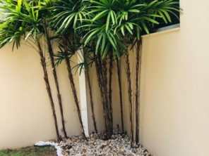 Foto de Jard.Flor Jardinagem em Botucatu, SP por Solutudo