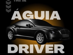 Foto de Águia driver em Jundiaí, SP por Solutudo