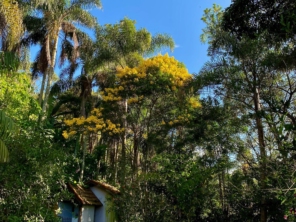 Foto de Quinta da Canta em Mairiporã, SP por Solutudo