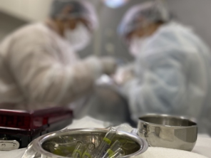 Foto de Engel Odontologia Vix em Vitória, ES por Solutudo