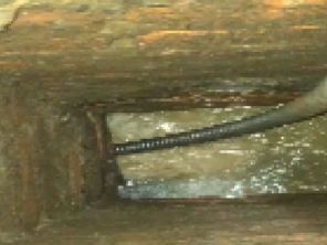 Foto de Clean Tec em Araras, SP por Solutudo
