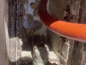 Foto de Clean Tec em Araras, SP por Solutudo