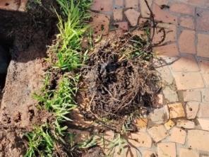 Foto de Desentupidora VR em São Paulo, SP por Solutudo