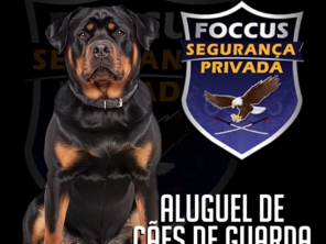 Foto de Foccus Segurança Privada Ltda - Segurança Patrimonial em Avaré, SP por Solutudo