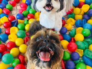 Foto galeria da empresa