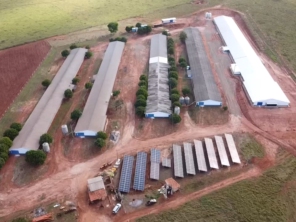 Foto galeria da empresa