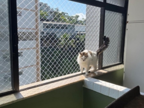 Foto de Agile Redes de Proteção em São Vicente, SP por Solutudo