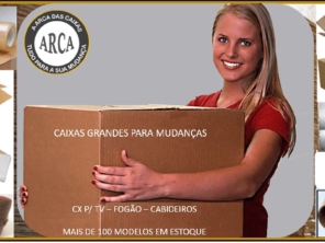 Foto de Arca das Caixas Embalagens de Papelão & Plástico Bolha em Rio de Janeiro, RJ por Solutudo