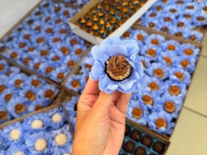 Foto galeria da empresa