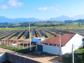 Foto de Engenharia, Obras, Arquitetura & Elétrica Solar em Ninho Verde II Eco Residence, SP por Solutudo