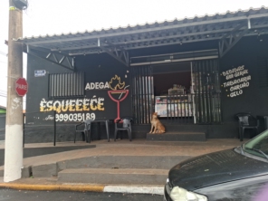 Foto galeria da empresa