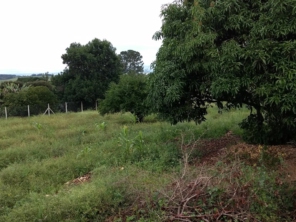 Foto de Chácara Recanto dos anjo em São Manuel, SP por Solutudo