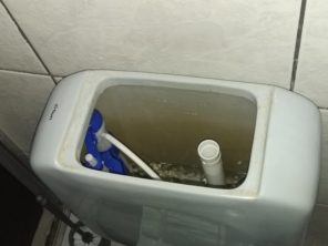Foto de Rodrigo Marido de Aluguel em Avaré, SP por Solutudo