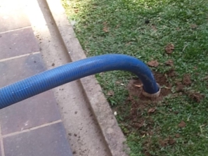 Foto de Desentupidora Fácil Ambiental em São Paulo, SP por Solutudo