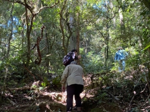 Foto de Guiacunhacibele em Cunha, SP por Solutudo