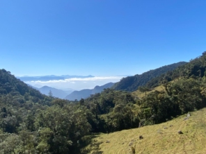 Foto de Guiacunhacibele em Cunha, SP por Solutudo