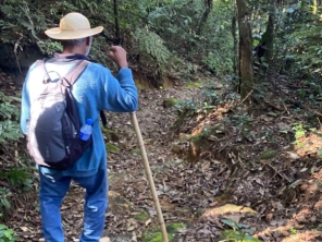Foto de Guiacunhacibele em Cunha, SP por Solutudo