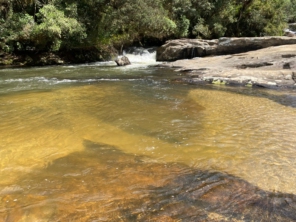 Foto de Guiacunhacibele em Cunha, SP por Solutudo