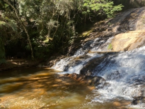 Foto de Guiacunhacibele em Cunha, SP por Solutudo