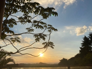 Foto de Guiacunhacibele em Cunha, SP por Solutudo