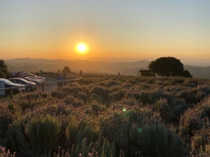 Foto de Guiacunhacibele em Cunha, SP por Solutudo