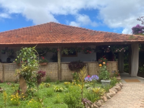 Foto de Guiacunhacibele em Cunha, SP por Solutudo