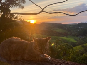 Foto de Guiacunhacibele em Cunha, SP por Solutudo