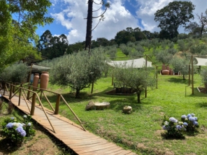 Foto galeria da empresa