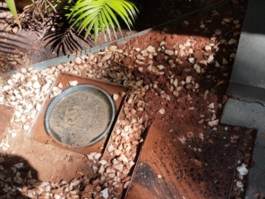 Foto de Desentupidora Império Solução Predial em Belo Horizonte, MG por Solutudo