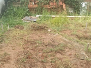 Foto de CR Marido de Aluguel e Empreiteira em Botucatu, SP por Solutudo