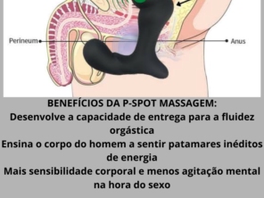 Imagem de galeria