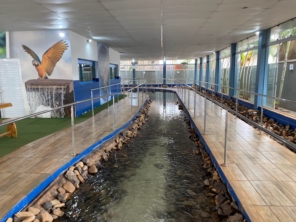 Foto de Aquário Municipal em Santa Fé do Sul, SP por Solutudo
