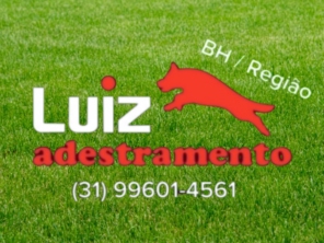 Foto de Luiz Adestramento de Cães em Mateus Leme, MG por Solutudo