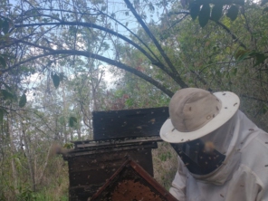 Foto de Camargo Marido Aluguel em Botucatu, SP por Solutudo