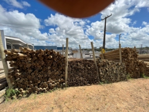 Foto de Madeireira Eucaliptus em Petrolina, PE por Solutudo