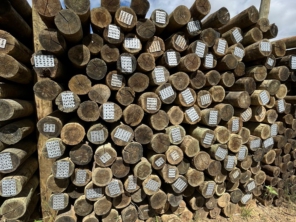 Foto de Madeireira Eucaliptus em Petrolina, PE por Solutudo
