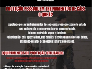Foto de Castro Treinador - Centro de Treinamento de Cães em Bauru, SP por Solutudo